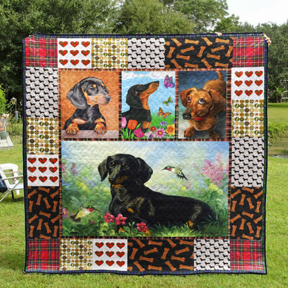 Dachshund LI270704C TBG Quilt Blanket