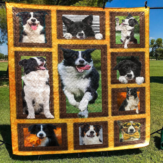 3D Border Collie dog CLA0411048F Sherpa Fleece Blanket