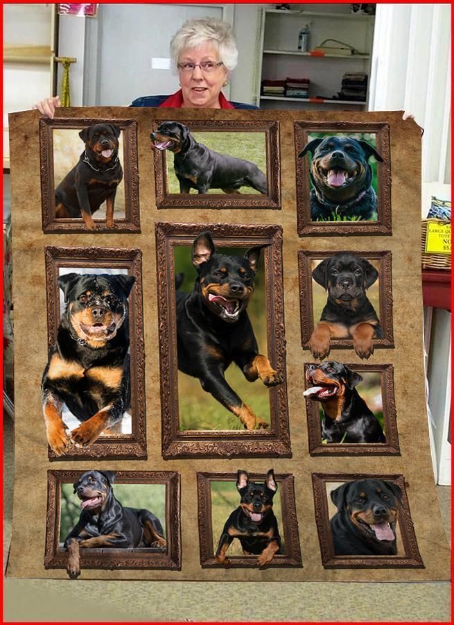 3D Rottweiler Dog CLA0411060F Sherpa Fleece Blanket