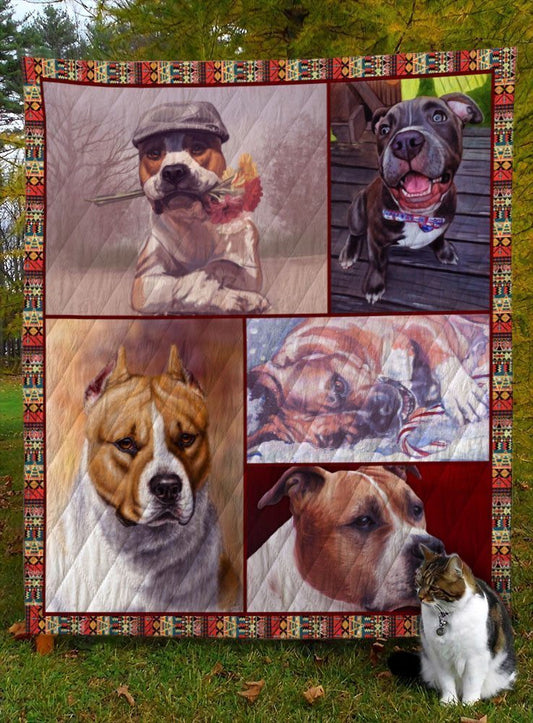 American Staffordshire Terrier Dog D8013 Quilt Blanket