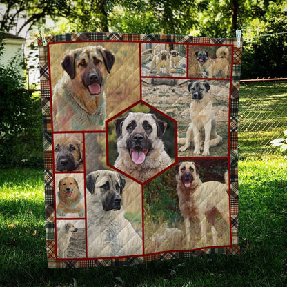 Anatolian Shepherd Strong CL09100021MDQ Quilt Blanket