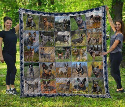 Australian Cattle Dog CL20110032MDQ Quilt Blanket