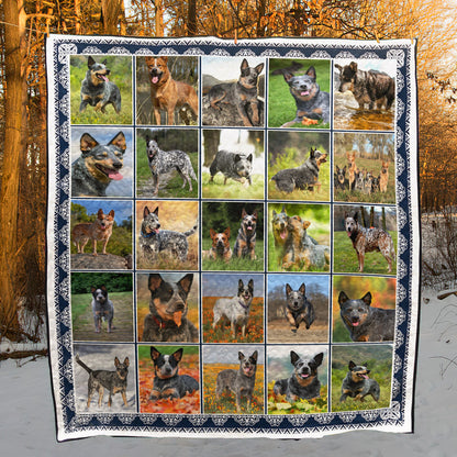 Australian Cattle Dog CL20110032MDQ Quilt Blanket