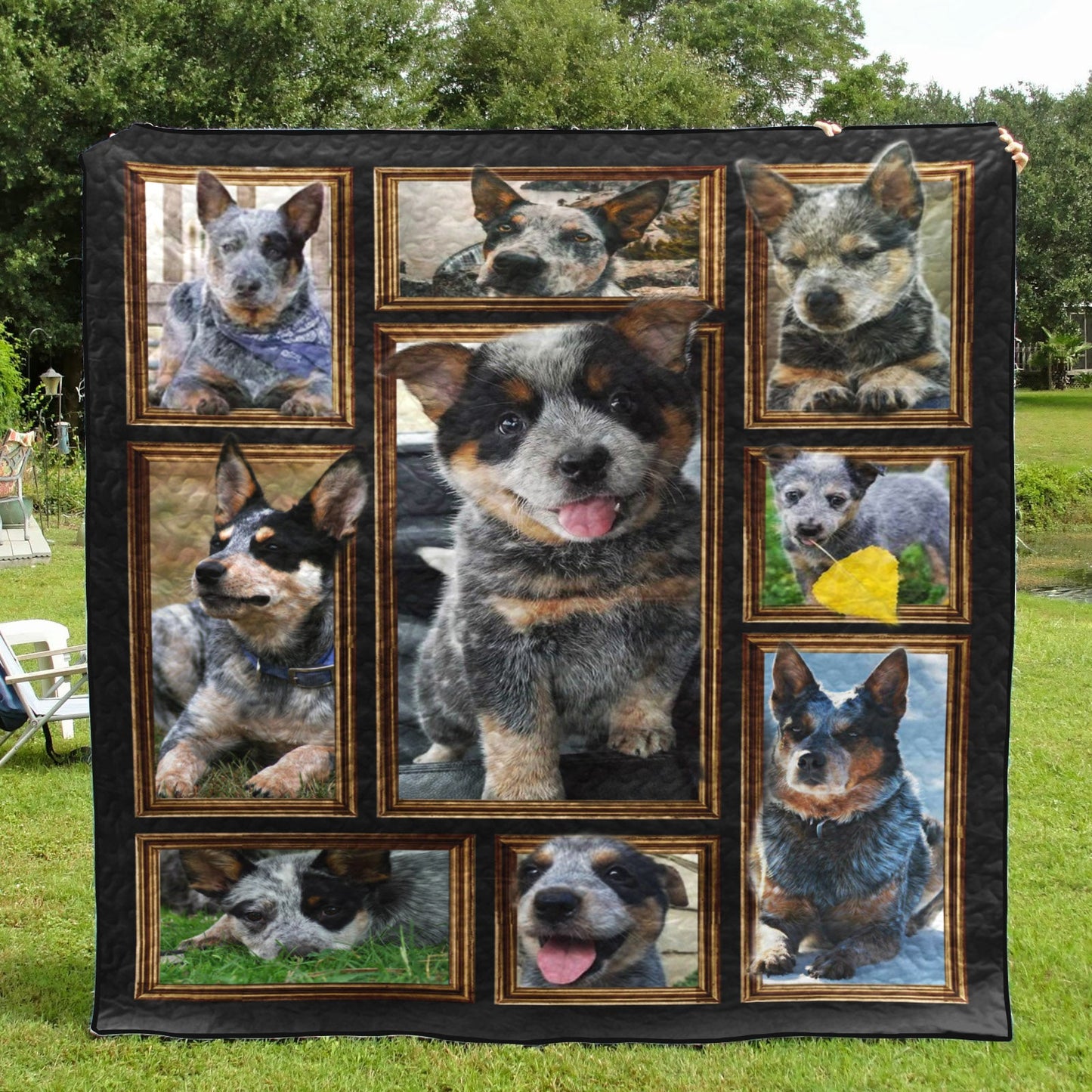 Australian Cattle Dog Cute Heeler CLA31100396Q Quilt Blanket