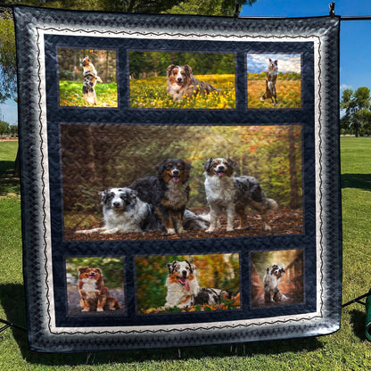 Australian Shepherd CLH1611096Q Quilt Blanket