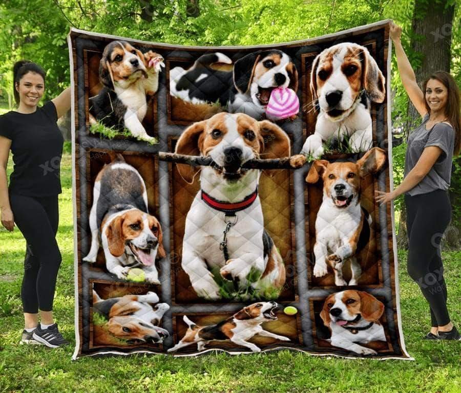 Beagle CL05100006MDQ Quilt Blanket