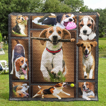 Beagle CL05100006MDQ Quilt Blanket