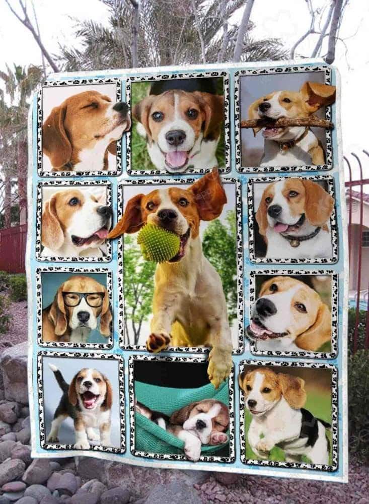 Beagle CL05100042MDF Sherpa Fleece Blanket