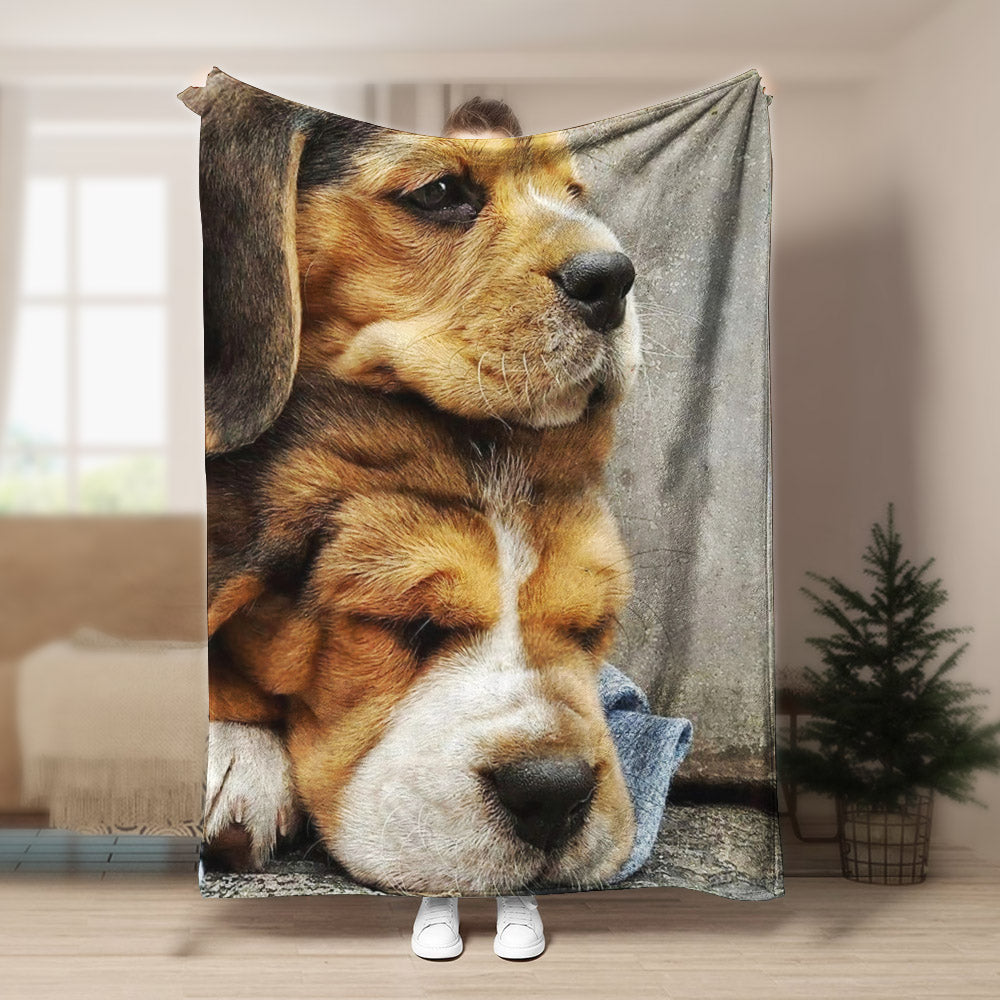 Beagle DD190802F Sherpa Fleece Blanket