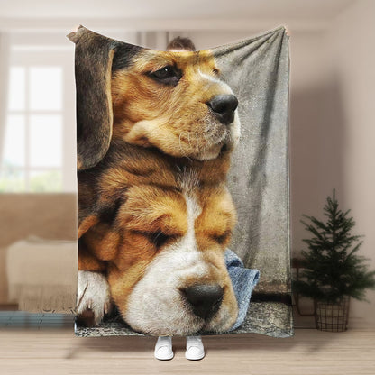 Beagle DD190802F Sherpa Fleece Blanket