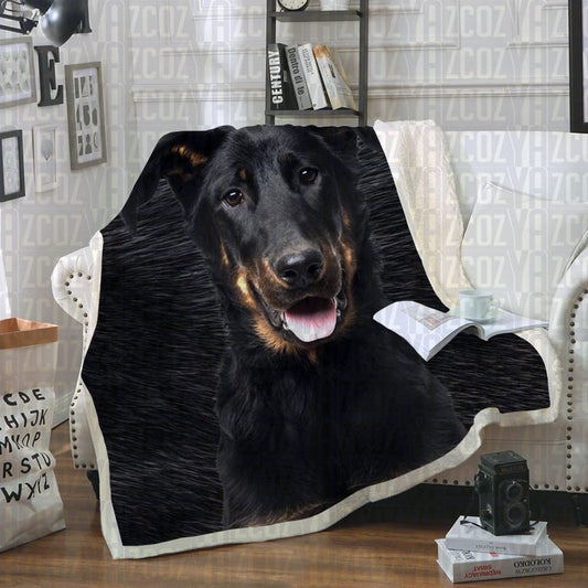 Beauceron CL21110091MDF Sherpa Fleece Blanket
