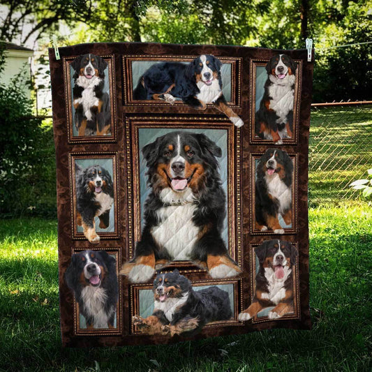 Bernese Mountain Dog Frame CL09100041MDQ Quilt Blanket