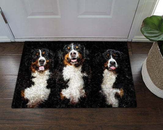 Bernese Mountain Dog DT0111017D Non-slip Door mats