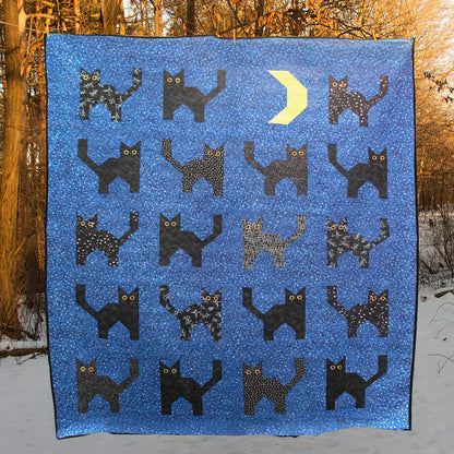 Black Cats CLM2111061 Quilt Blanket