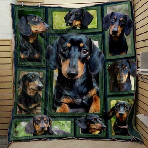 Black Dachshund CLA0810037Q Quilt Blanket