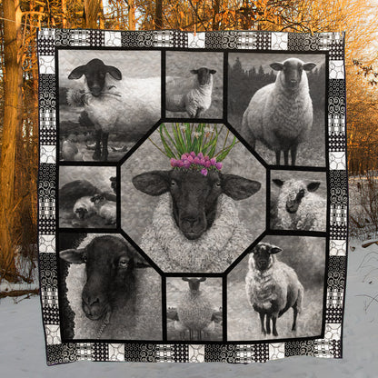 Black Sheep ND281001 Quilt Blanket