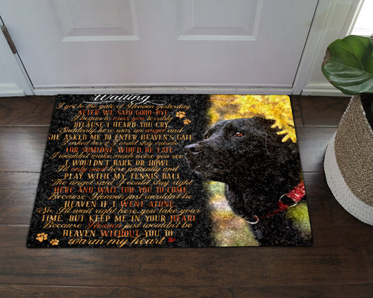 Black Labrador CL16110021MDD Non-slip Door mats