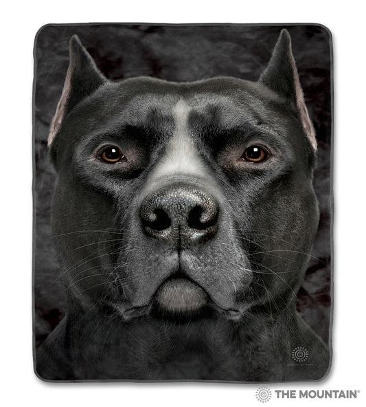 Black Pitbull Head CLA1712722F Sherpa Fleece Blanket
