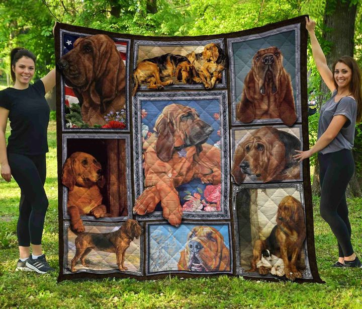 Bloodhound CL08110066MDQ Quilt Blanket