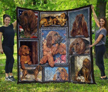 Bloodhound CL20110082MDQ Quilt Blanket