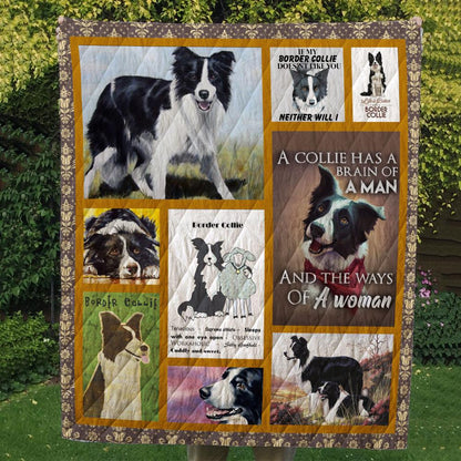 Border Collie CL10100058MDQ Quilt Blanket