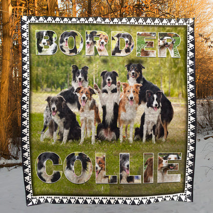 Border Collie CL11110049MDQ Quilt Blanket