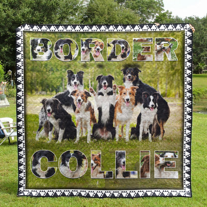 Border Collie CL11110049MDQ Quilt Blanket