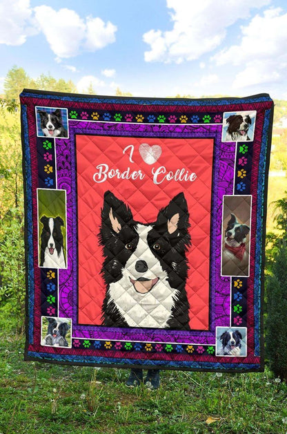 Border Collie CLA3010020Q Quilt Blanket