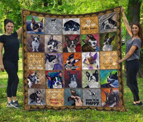 Boston Terrier CL20110102MDQ Quilt Blanket