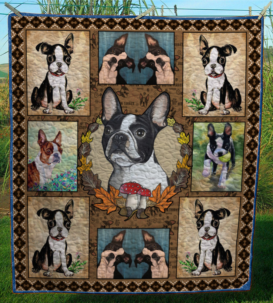 Boston Terrier CL28100139MDQ Quilt Blanket