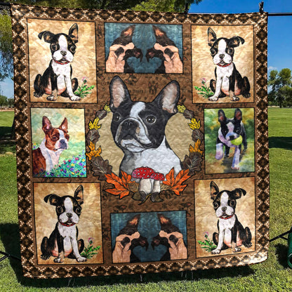 Boston Terrier CL28100139MDQ Quilt Blanket