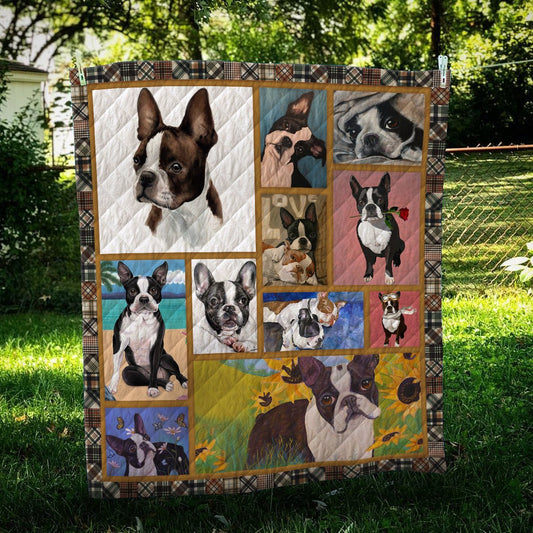 Boston Terrier Color CL10100071MDQ Quilt Blanket