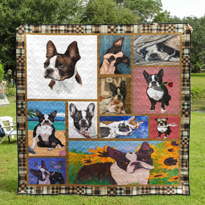 Boston Terrier Color CL10100071MDQ Quilt Blanket
