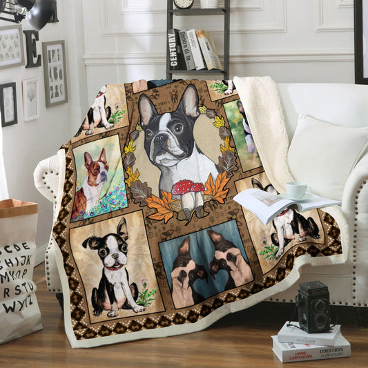 Boston Terrier CL02110087MDF Sherpa Fleece Blanket