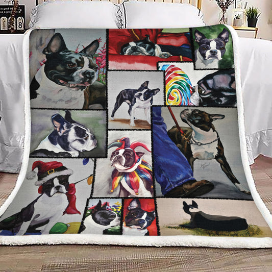 Boston Terrier TT3009019TT Sherpa Fleece Blanket