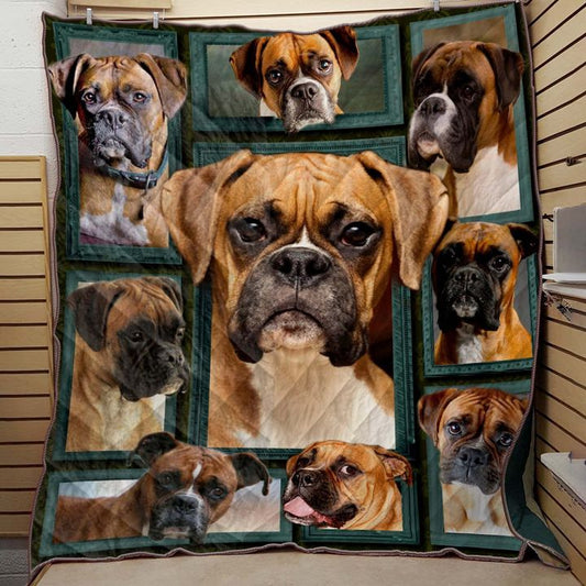 Boxer Beauty CLA2911049Q Quilt Blanket