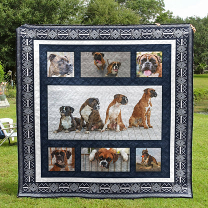 Boxer CL12110042MDQ Quilt Blanket