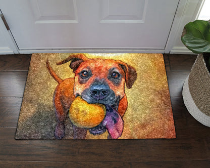 Boxer CL270809MDD Non-slip Door mats