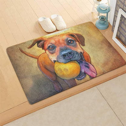 Boxer CL270809MDD Non-slip Door mats