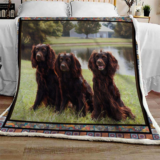 Boykin Spaniel Friend CL10100076MDF Sherpa Fleece Blanket