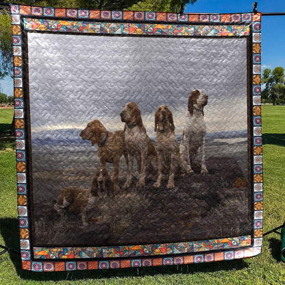 Bracco Italiano Friend CL09100067MDQ Quilt Blanket