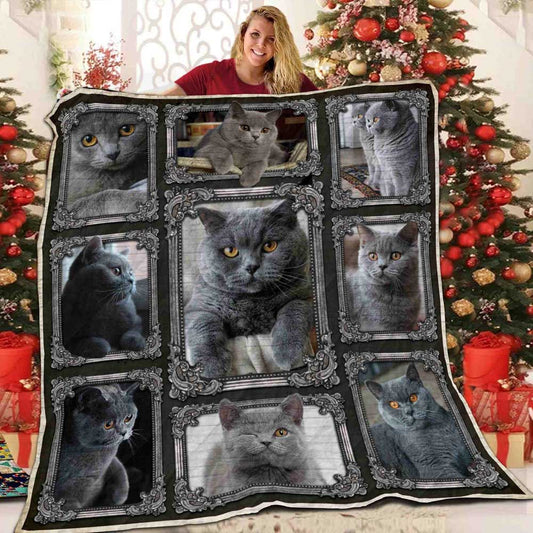 British Shorthair Chubby Cat ND051101 Quilt Blanket