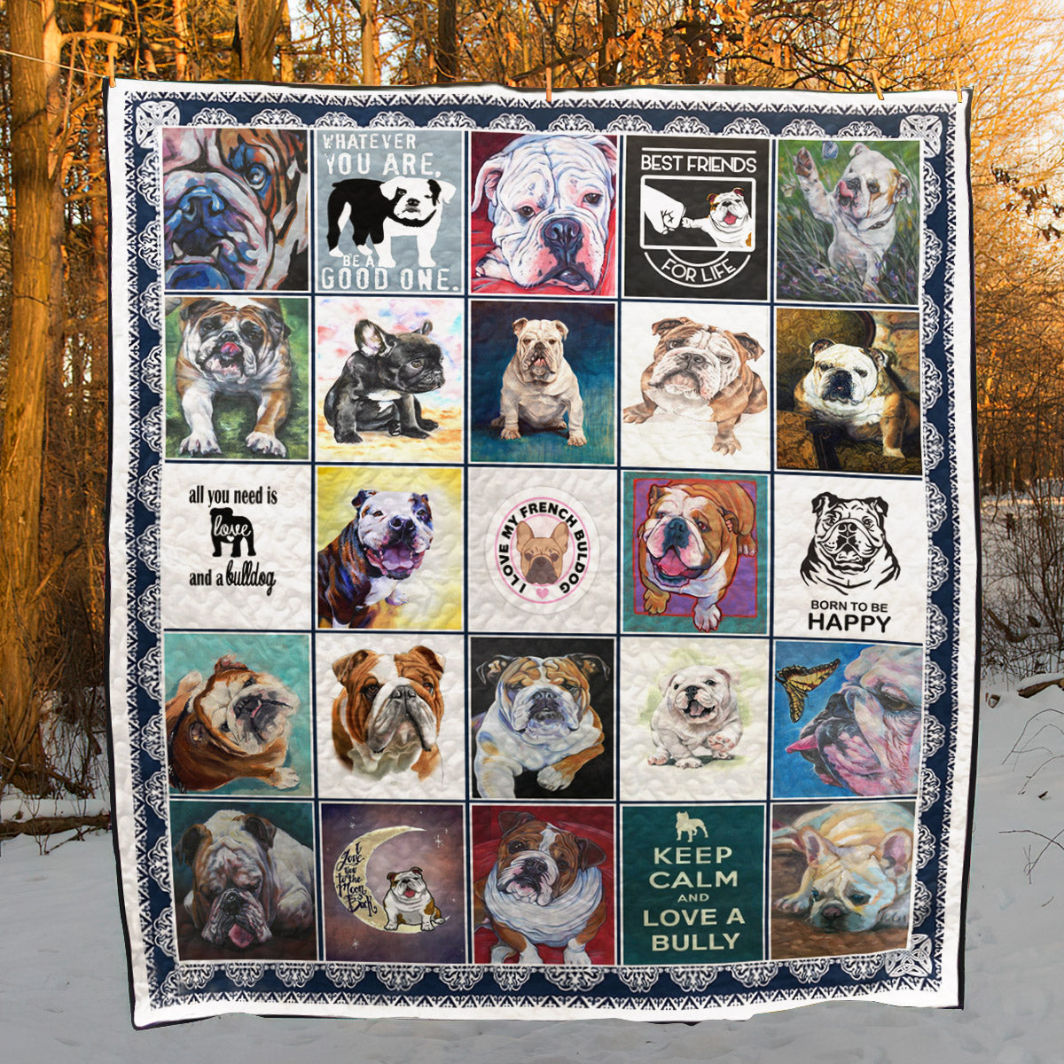 Bull Dog CLH0412152Q Quilt Blanket