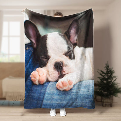 Bulldog HN160917F Sherpa Fleece Blanket