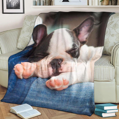 Bulldog HN170916F Sherpa Fleece Blanket
