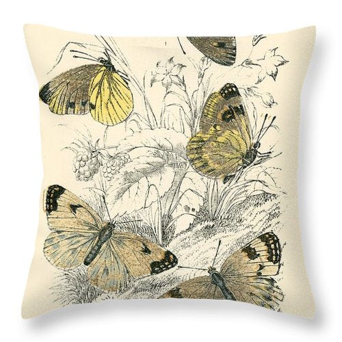 Butterflies CLH3010118P Throw Pillow Covers