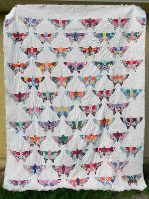 Butterfly CLA1110032Q Quilt Blanket