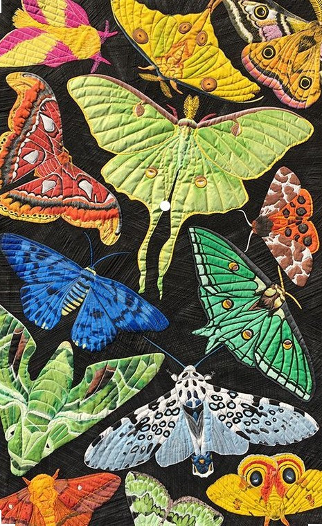 Butterfly CLA1710080Q Quilt Blanket