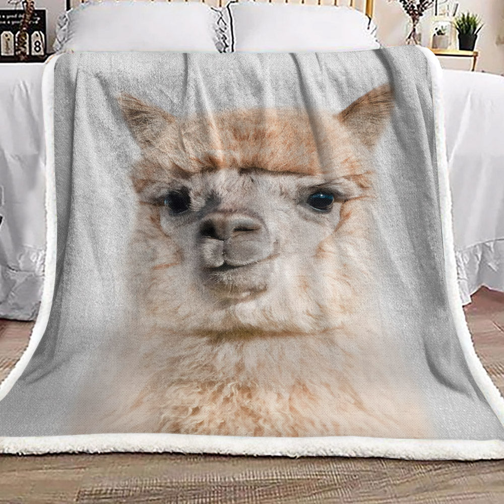 Camel VD031039F Sherpa Fleece Blanket