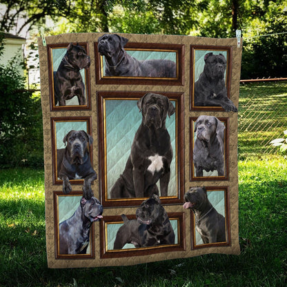 Cane Corso Frame CL09100076MDQ Quilt Blanket